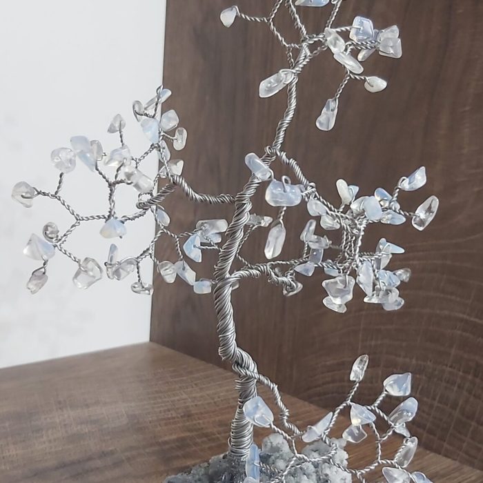 Дъб от лунен камък